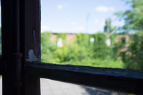 Small_tura-14