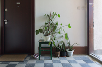 Small_tura-22