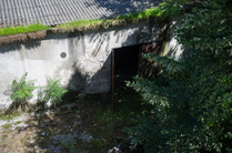 Small_tura-28
